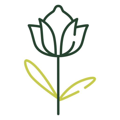 Тюльпан Generic color outline иконка