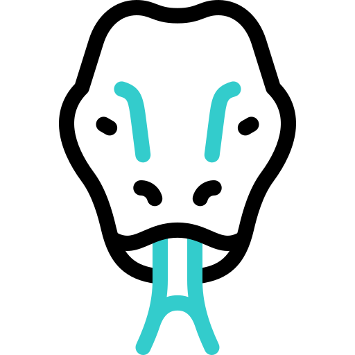 waran z komodo Basic Accent Outline ikona