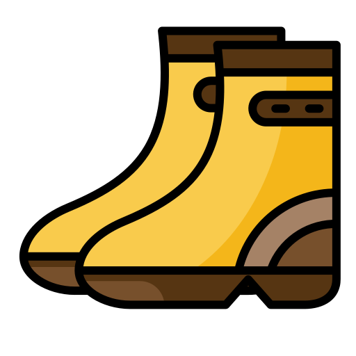 Rainboots Generic color lineal-color icon