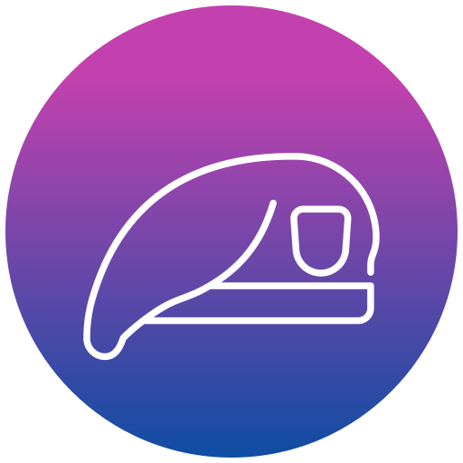 Beret Generic gradient fill icon