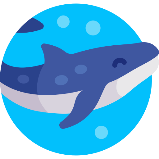 balena blu Detailed Flat Circular Flat icona