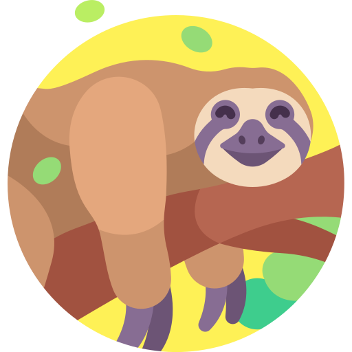 Sloth Detailed Flat Circular Flat icon