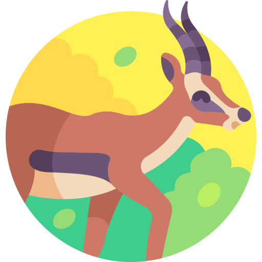 gazelle Detailed Flat Circular Flat icoon