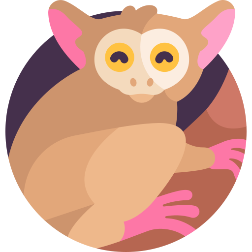 Tarsier Detailed Flat Circular Flat icon