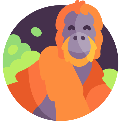 orangutan Detailed Flat Circular Flat icona