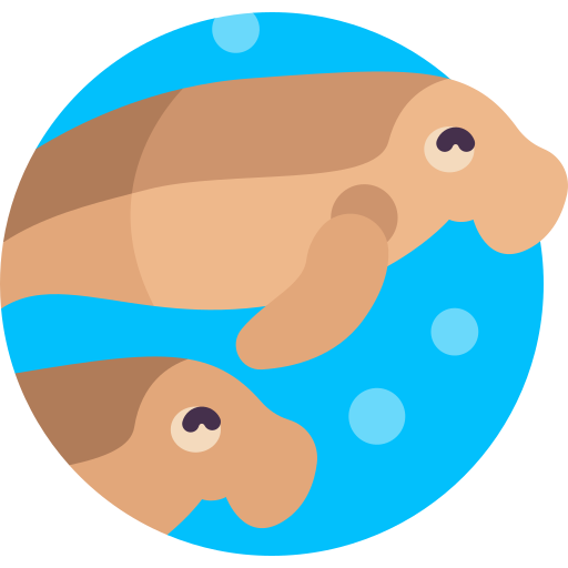 dugongo Detailed Flat Circular Flat icona