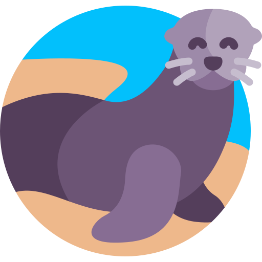 lobo marino de galápagos Detailed Flat Circular Flat icono