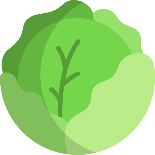 Cabbage Generic color fill icon