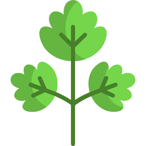 Parsley Generic color fill icon