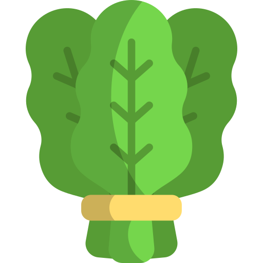 Spinach Generic color fill icon