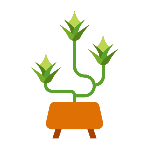 屋内植物 Generic color fill icon