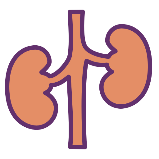 Kidney Icongeek26 Linear Colour icon