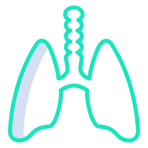 Lungs Icongeek26 Outline Colour icon