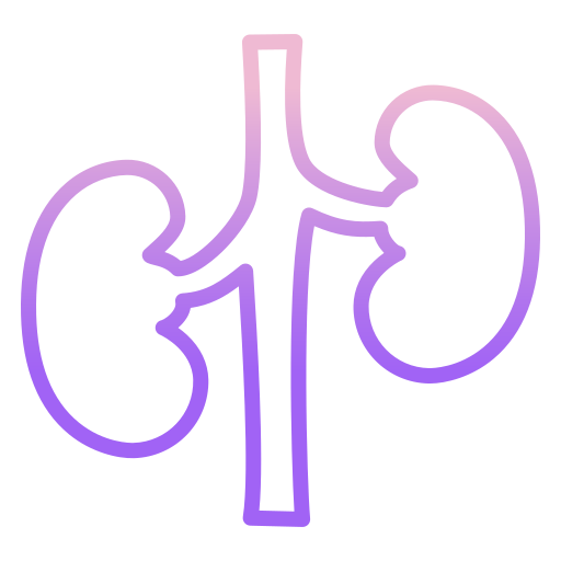 Kidney Icongeek26 Outline Gradient icon