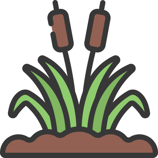 Растения Generic color lineal-color иконка