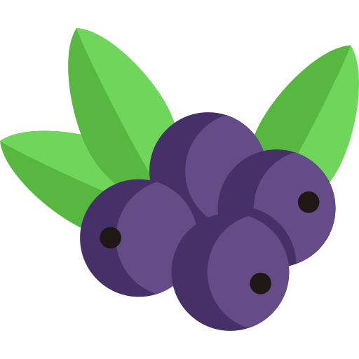 Berry Special Flat icon