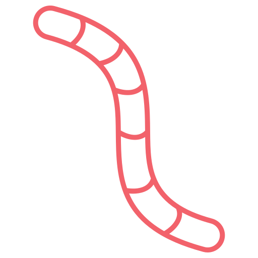 Worm Generic color outline icon