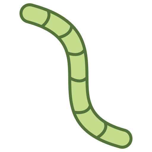 worm Generic color lineal-color icoon