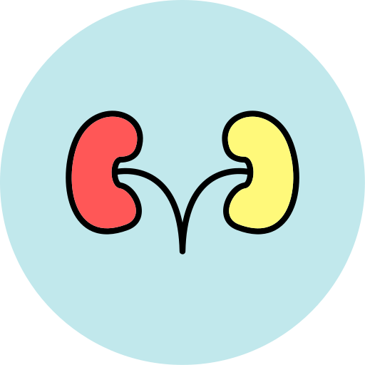 riñones Generic color lineal-color icono