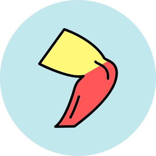 rodilla Generic color lineal-color icono