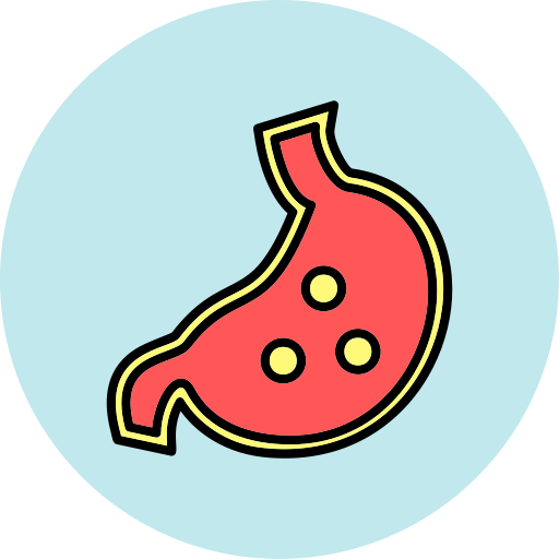 胃 Generic color lineal-color icon