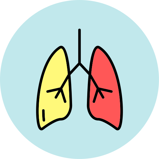 Lungs Generic color lineal-color icon