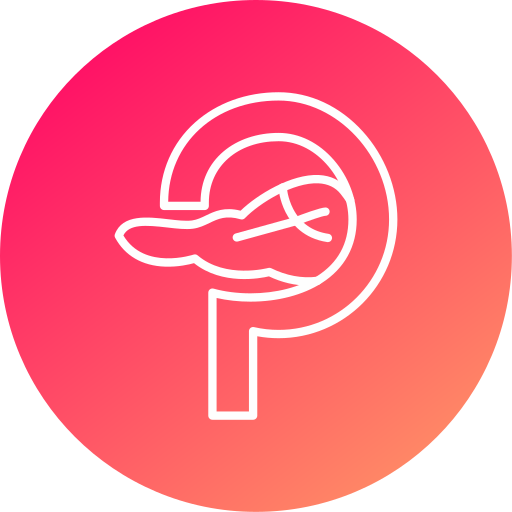 pancreas Generic gradient fill icona