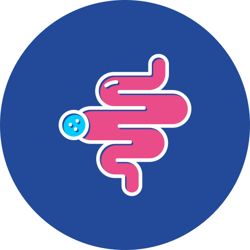 intestino Generic color fill icono