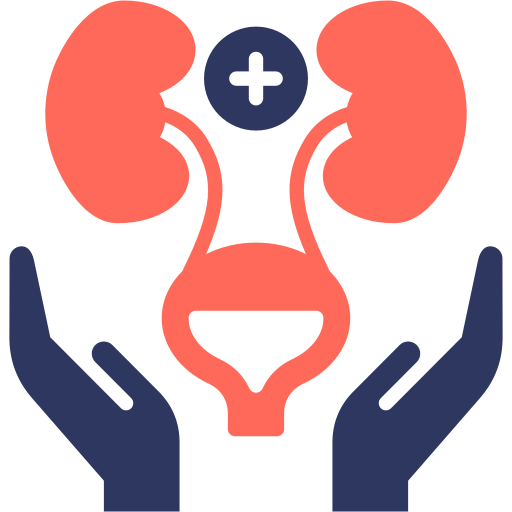 Nephrology Generic color fill icon