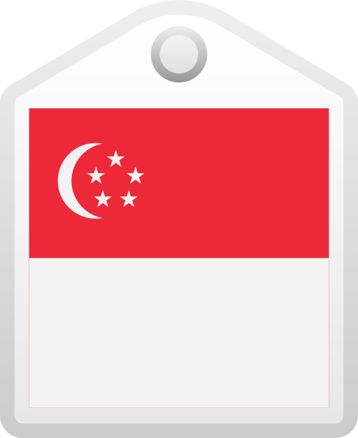 singapur Generic gradient fill icon