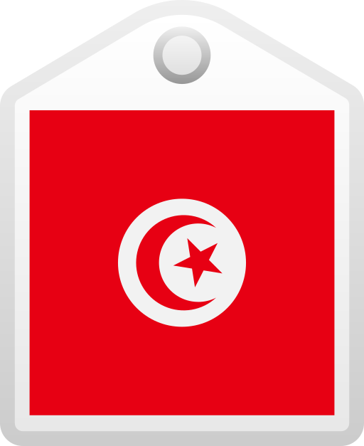 Tunisia Generic gradient fill icon
