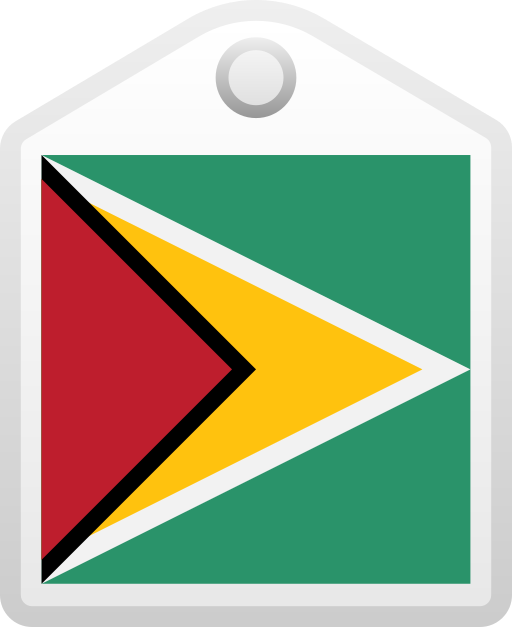 guyana Generic gradient fill icoon