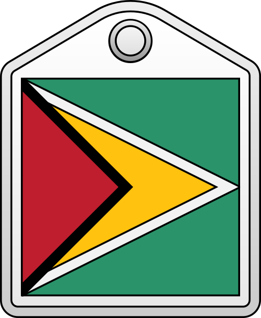 guyana Generic gradient lineal-color icona