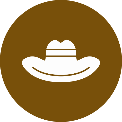 chapeau de cowboy Generic color fill Icône