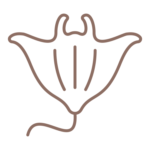 Stingray Generic color outline icon