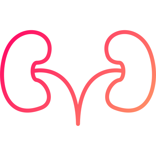 腎臓 Generic gradient outline icon
