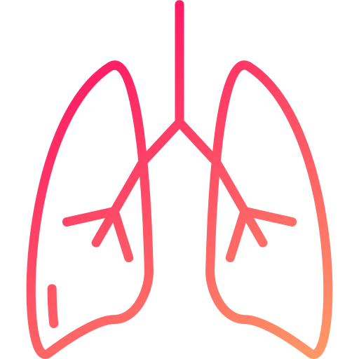 Lung Generic gradient outline icon