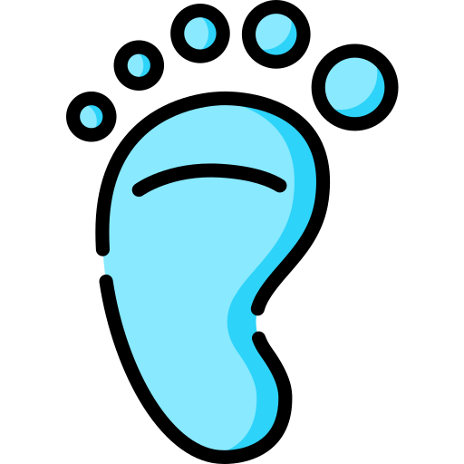 Footprint Special Lineal color icon