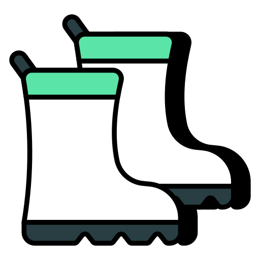Footwear Generic Others icon