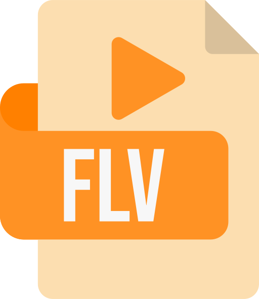 flv-dateiformat Generic color fill icon