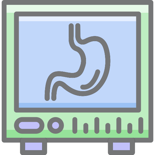 Stomach icon Generic color lineal-color icon