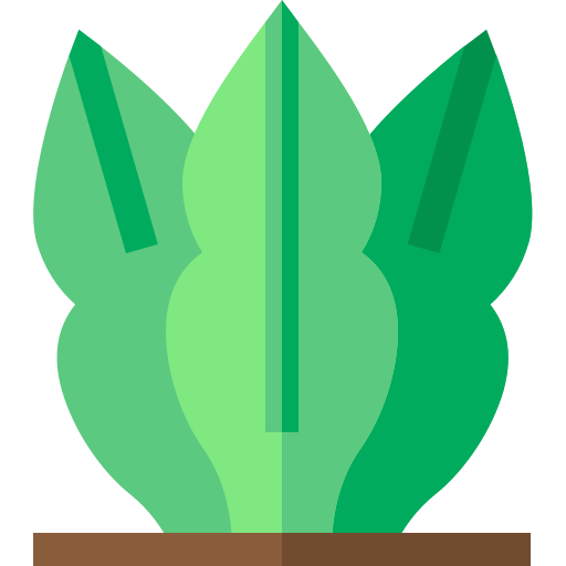 schlangenpflanze Basic Straight Flat icon