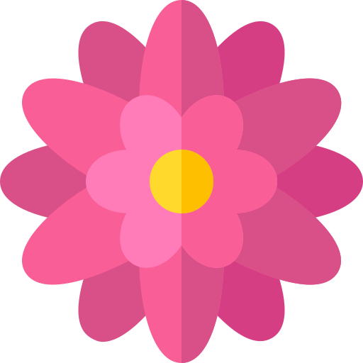 Crisantemo Basic Straight Flat icono
