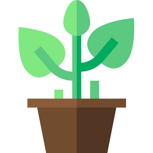 Planta Basic Straight Flat icono