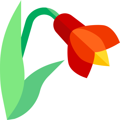 amaryllis Basic Straight Flat icon
