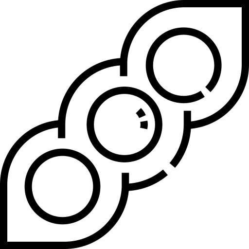 soia Detailed Straight Lineal icona