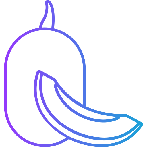 Papaya Generic gradient outline icon