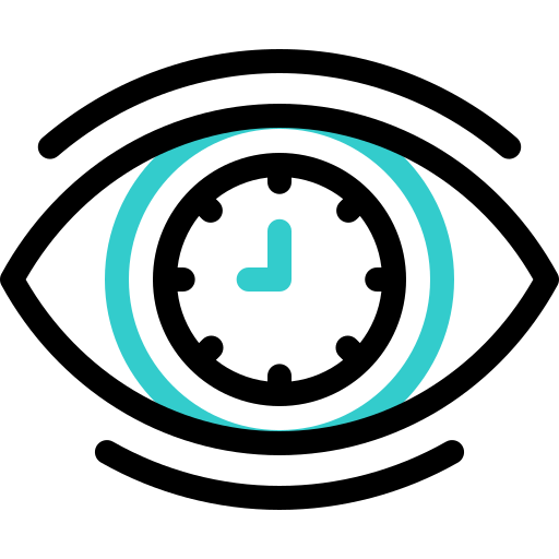 visionär Basic Accent Outline icon