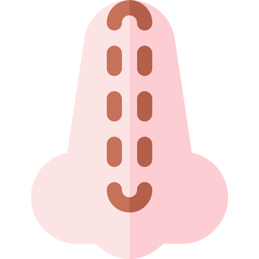 Nose Basic Rounded Flat icon