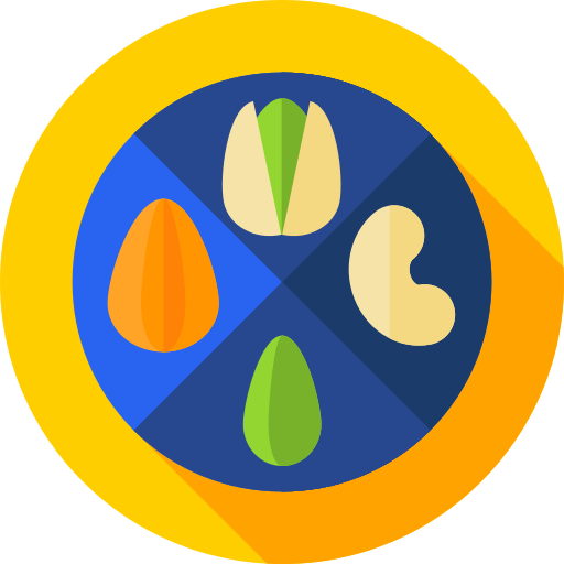 ドライフルーツ Flat Circular Flat icon